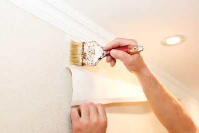 Pose de papier peint à Sabalos — revêtements muraux et toiles de verre